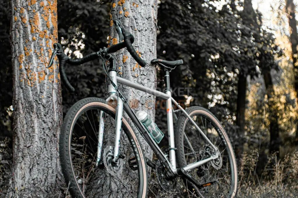 A bicycle leaning against a tree in a forest setting.