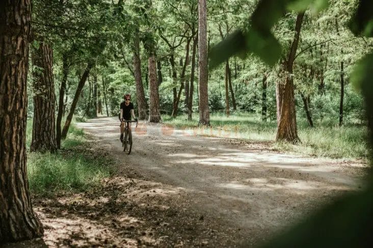 biking 5 miles a day