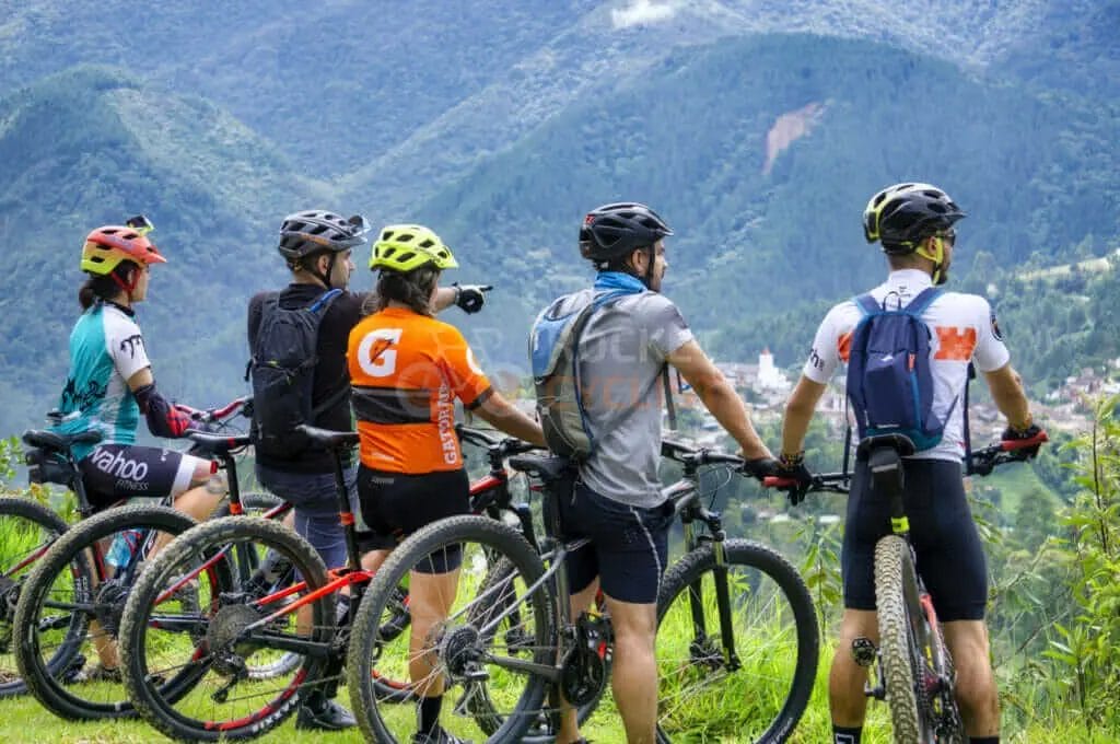 A group of mountain bikers looking at the mountains.