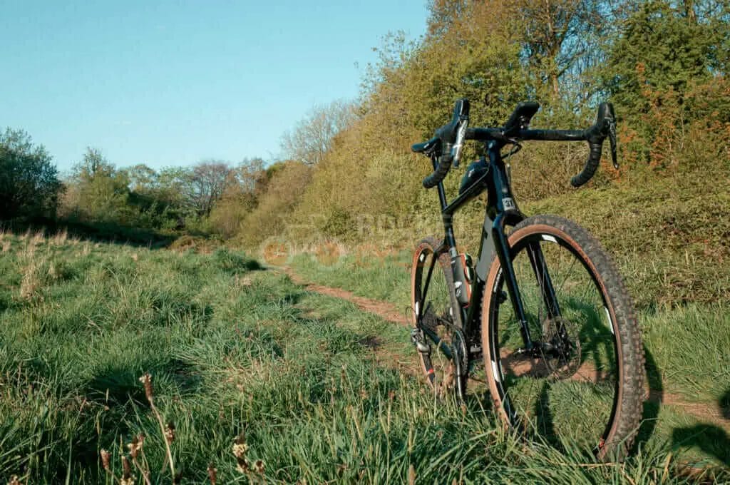 A bike is leaning against a tree in a grassy field.