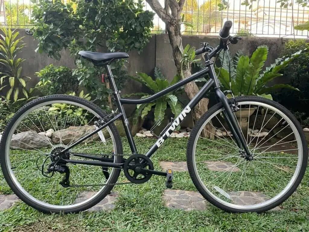 A black bicycle is parked in front of a tree.