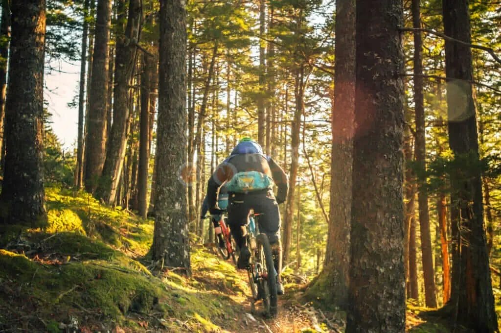 A person riding a mountain bike through a forest.