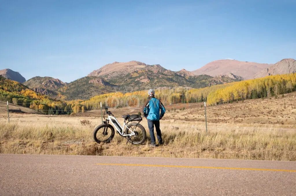A person standing next to a bicycle.