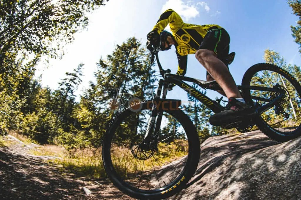 A man riding a mountain bike in the woods.