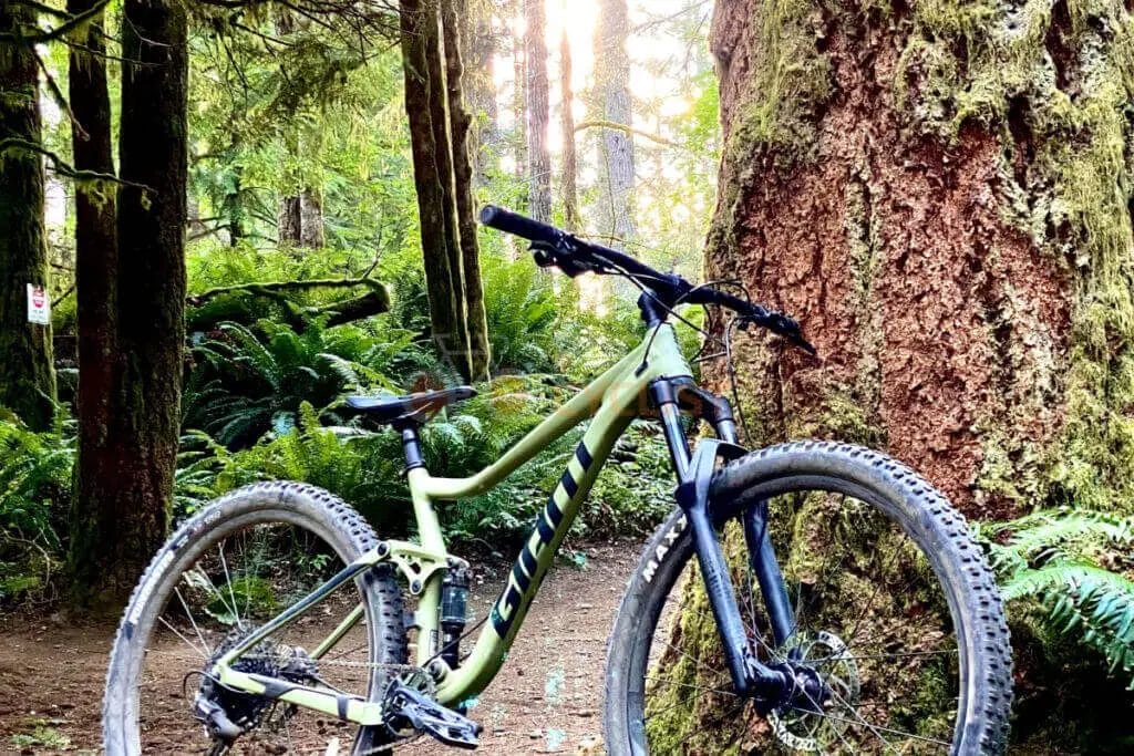 A green mountain bike leaning against a tree in the woods.