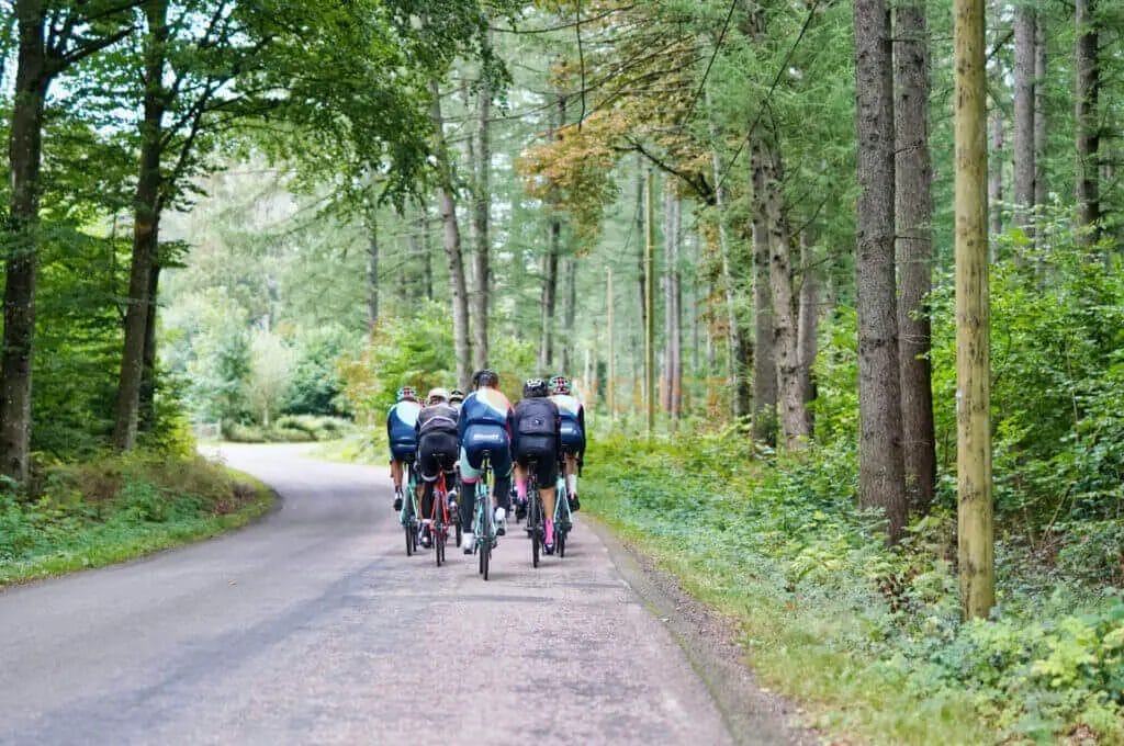 A group of people riding bicycles down a road in a wooded area.