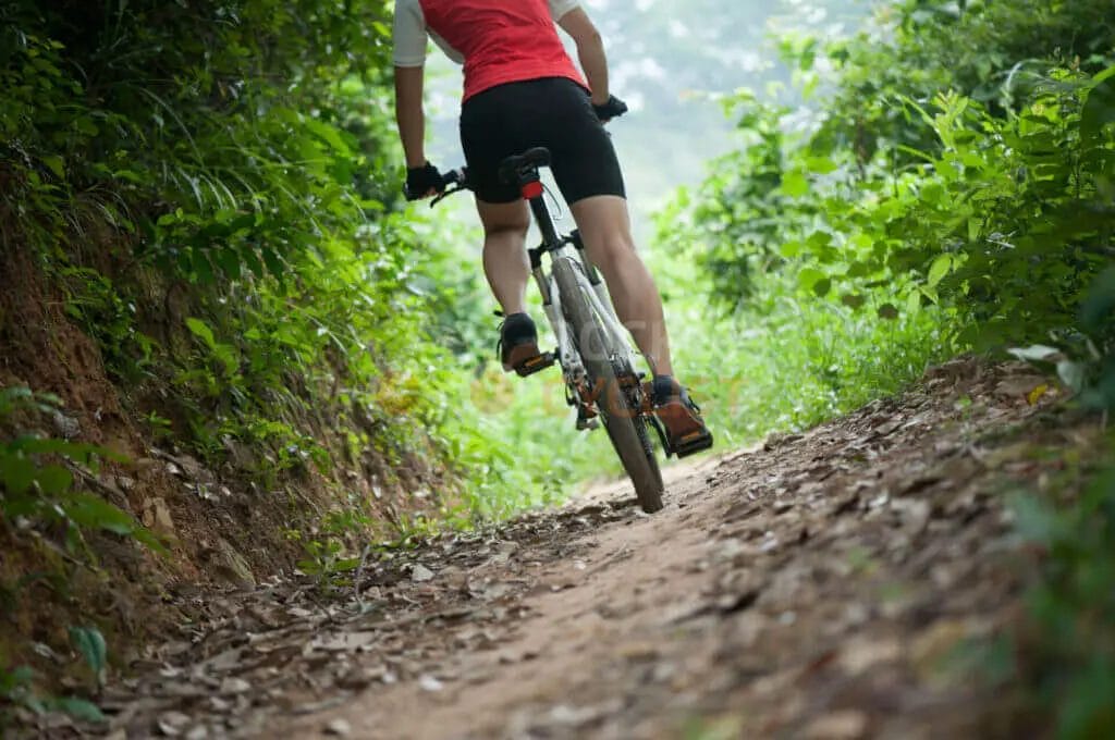 A woman riding a mountain bike down a trail.