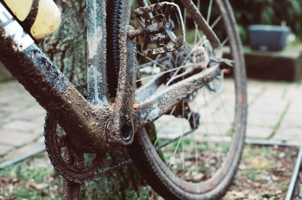 A bicycle is parked next to a tree.