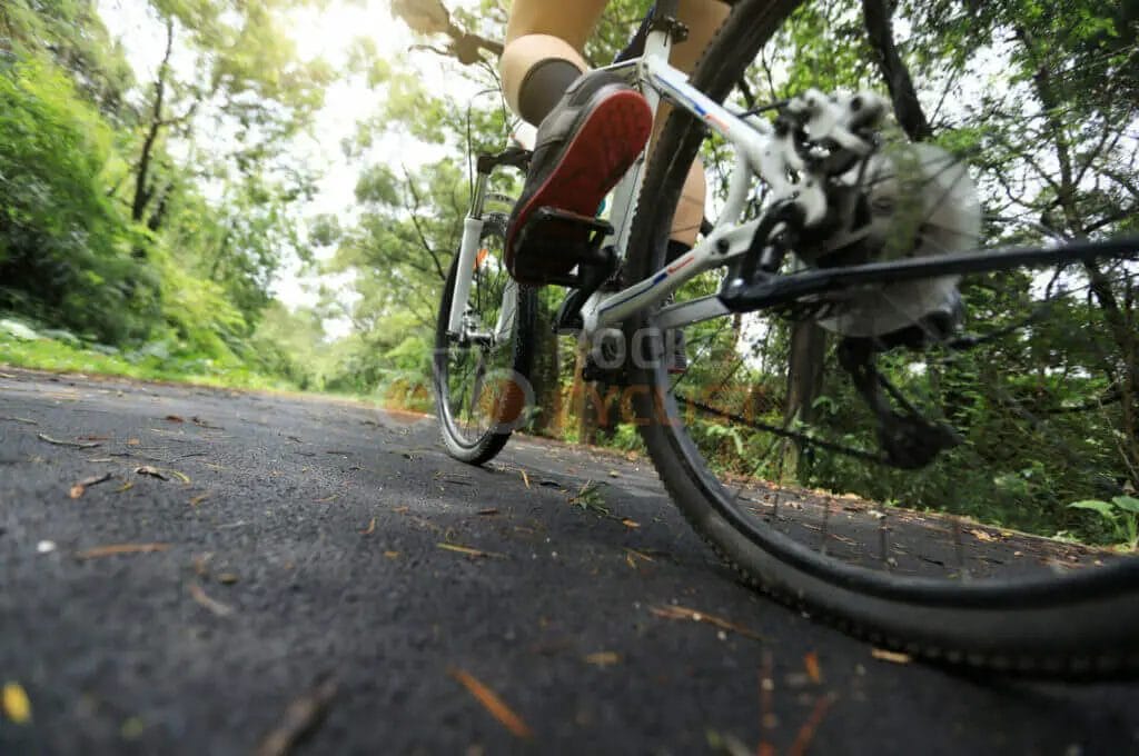 A person riding a bicycle on a path in the woods.