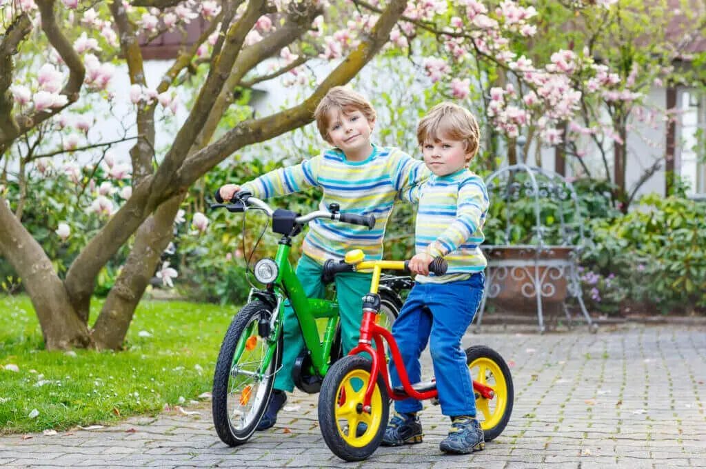 Two boys on bicycles in a yard.